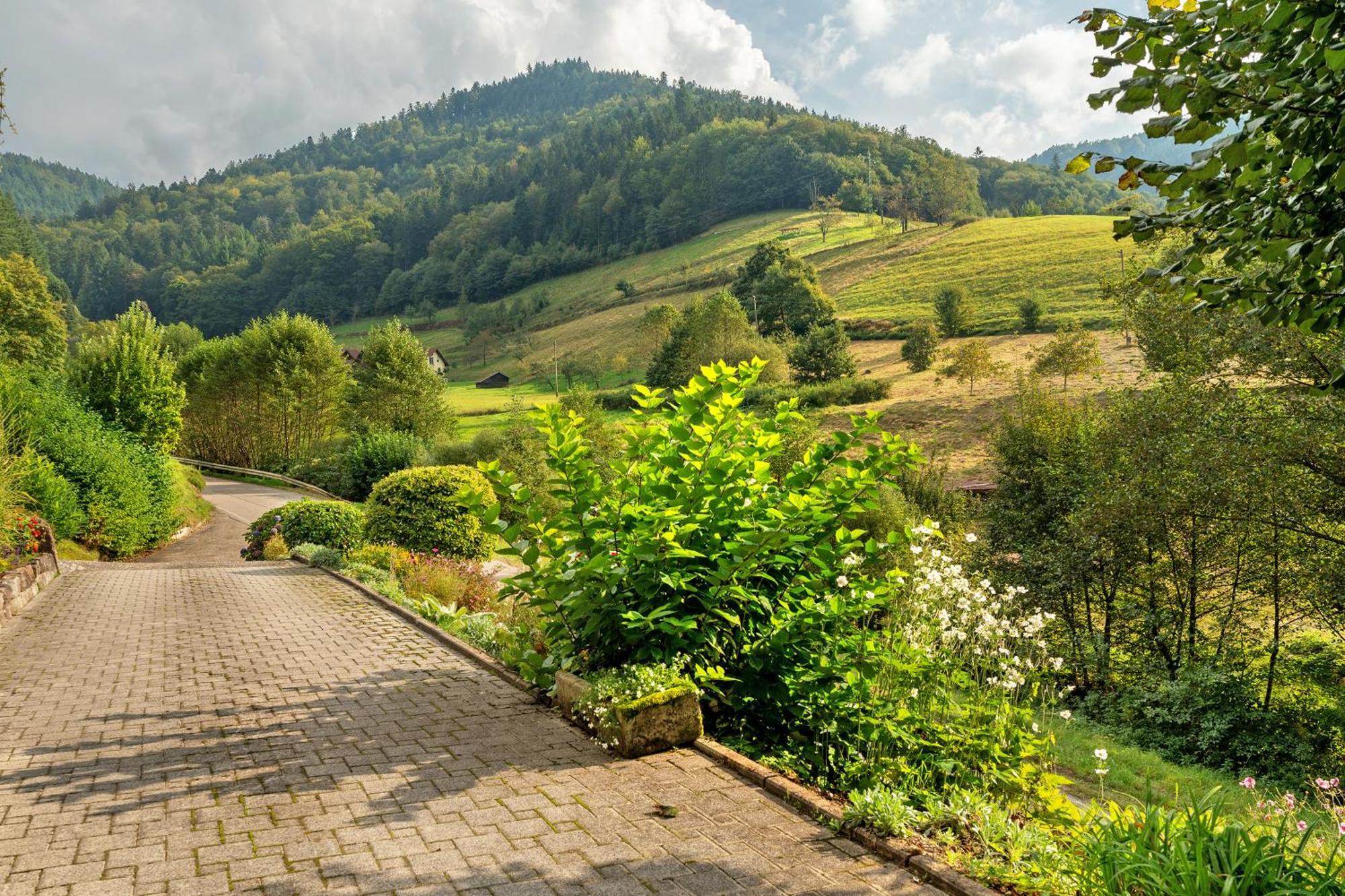 Haus Schindler Apartment Ottenhofen im Schwarzwald Exterior photo